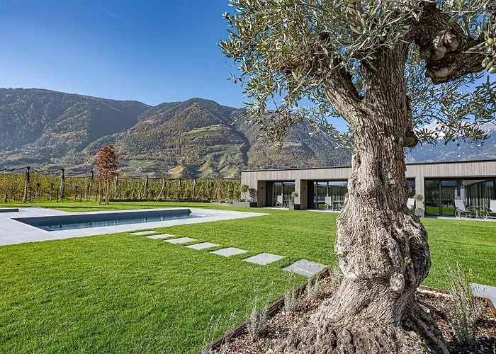 Auhof Bed & Breakfast